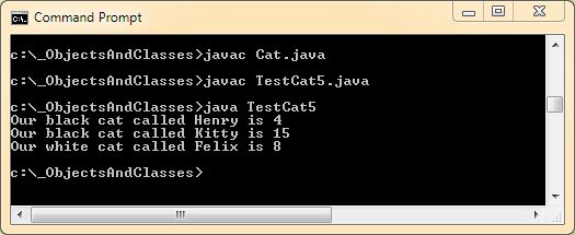 run cat class with constructor run cat class with constructor