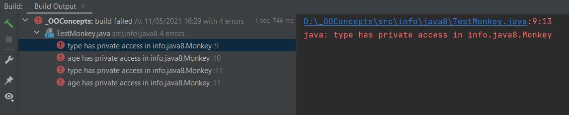 run cat class with constructor run cat class with constructor
